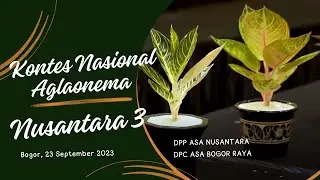 073 Kontes Nasional Aglaonema Nusantara 3 di Bogor diselenggarakan DPC ASA Bogor