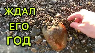 🌊⚜️ЗОЛОТО 2023 !!! НАКОНЕЦ-ТО ВЫКОПАЛ ! ДОЛГОЖДАННАЯ НАХОДКА В СКУПЕ ! КОП с Equinox 800 и CoilTek !