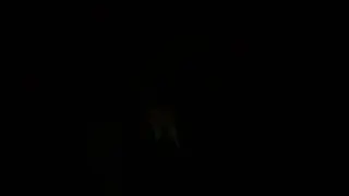 Местный или двухместный 