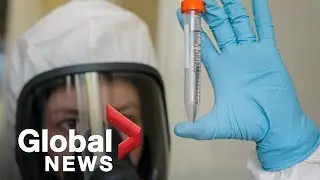 Coronavirus: Why scientists are sounding alarm over Russia's COVID-19 vaccine