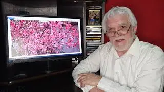 С праздником, дорогие женщины.