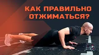 КАК ПРАВИЛЬНО ОТЖИМАТЬСЯ?