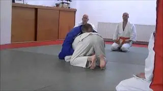 Judo Technique: sweep & hold