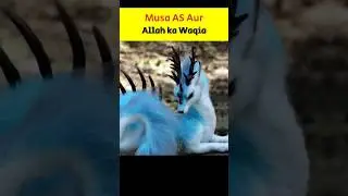 Musa AS aur Allah ka Waqia 😱 | Abuzar_99 | #islam #islamicshorts #allah