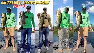 August Bass Fishing in Maine