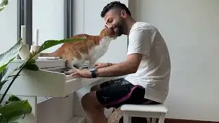 Unbelievable Cat's Transformation: Paralyzed to Purrfect Peace 🎹
