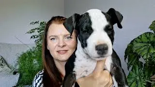 СЧАСТЛИВАЯ МАМА.
