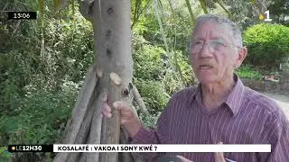 Kosalafé ! Kosa i sony kwé  Domann anou Hermina LASSON va domann Raymond Lucas !