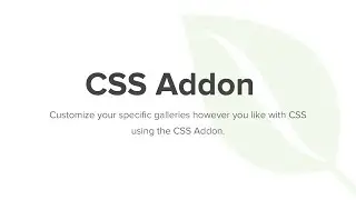 Envira Gallery CSS Addon