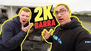 I'm a sucker for a BARRA - New daily reveal 👌🏻