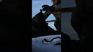 #пошукзагиблих