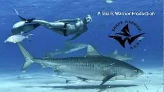 LESLEY ROCHAT FREEDIVING WITH SHARKS