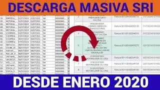 ¡Descarga Masiva de Comprobantes SRI y Reportes en Excel al Instante! 🚀 XML, PDF, ATS y Más