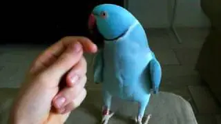 keube