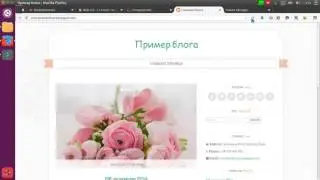 favikon 11 blog