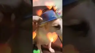 💕 Милка счастливая женщина 💕