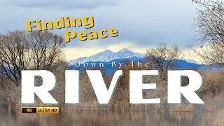 Down By The River