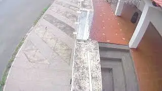 Portão assombrado!