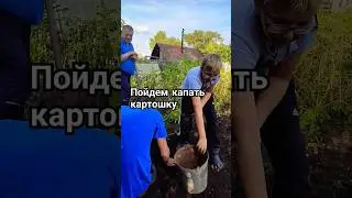 Кто любит копать картошку? #юмор #вайн #приколы #смешныевидео #смешноевидео