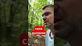 Сила, расслабление. Виды дыхания #практика #дыхание #сила