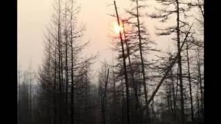 Интервью Раиса Шайхутдинова