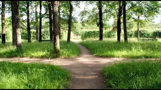 притча о выборе пути