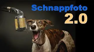 Schnappfoto 2.0 - Hunde Schnappbilder neu Interpretiert