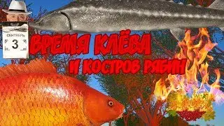 РУССКАЯ РЫБАЛКА 4 (РР4) - ВРЕМЯ КЛЁВА И КОСТРОВ РЯБИН! ТРОФЕЙ ФОРЕЛИ!