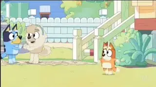 Bluey - Bluey and Judo is Runaway from Bingo