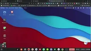 Get Discord on School Laptop.