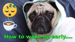 How to wake up early.....