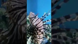 20161220 150427