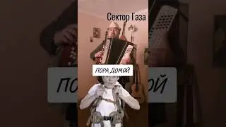 Сектор Газа. Пора домой. Кавер на баяне #shorts #кавернабаяне #песниподбаян