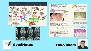 How i take my notes 📙✏️ with GoodNotes App || Medstud