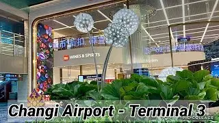 World’s BEST Transit Area?! ✈️ Changi Airport Terminal 3 Walking Tour | Layover Goals 😍🇸🇬