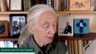 With Love: Mother's Boy read by Dr. Jane Goodall