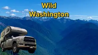 Wild Olympic Peninsula: Hurricane Ridge Drive and Dungeness Camping
