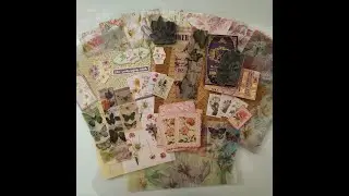 UNBOXING YCS - February 2024 Subscription Box - All about Lillies – ycvstudio.com