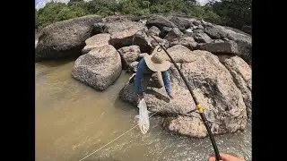 ¡AVENTURA DOBLE! PALOMETAS Y PAYARAS CON CAÑA: ¡NO TE LO PIERDAS!