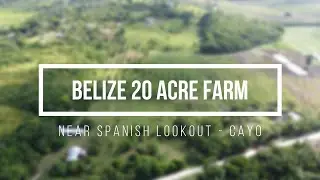 Belize Organic Farm - Cabin, Fruit Trees, Ponds & Jungle