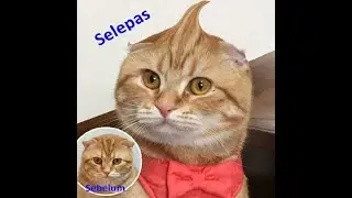 rambut baru skill baru #2