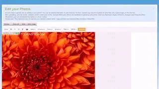free online photo editor