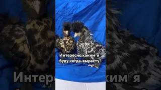 Время быстро летит🤧