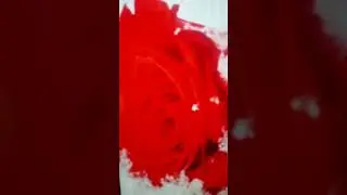 Роза на снегу.  Лилия Гинтер.22.12.2020.