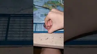 спешл видео в честь августа