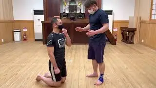 秀徹式腕立て伏せ
