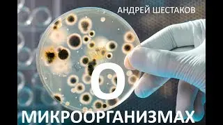 Андрей Шестаков о МИКРООРГАНИЗМАХ