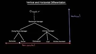 Vertical and Horizontal Differentiation | Organizational Design | MeanThat