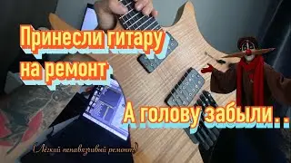 Принесли однажды на ремонт Strandberg…