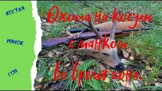 Roe deer hunting with a call during the rutting season